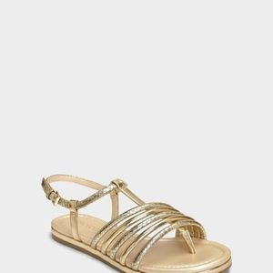 NIB Aerosoles Droplets Size 6.5 Gold